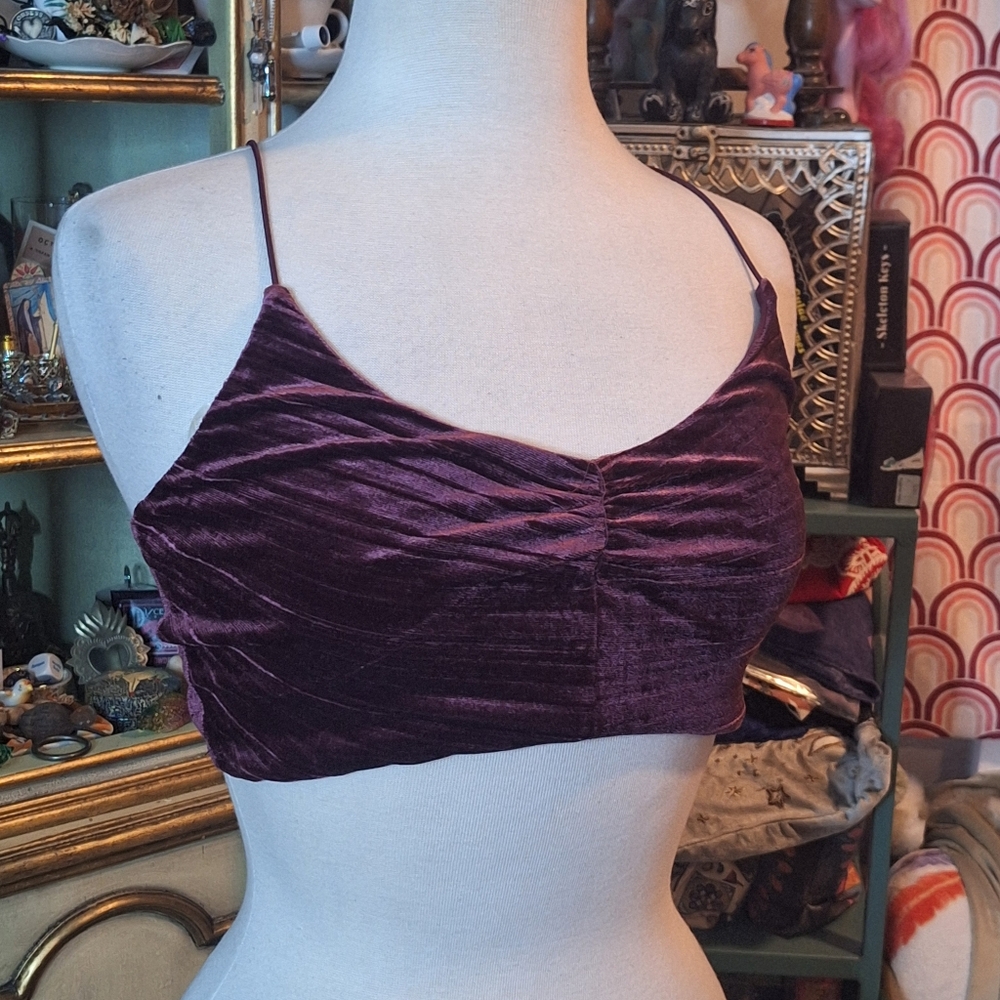 Wild Fable Rich Purple Velvet Camisole
